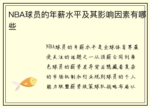 NBA球员的年薪水平及其影响因素有哪些